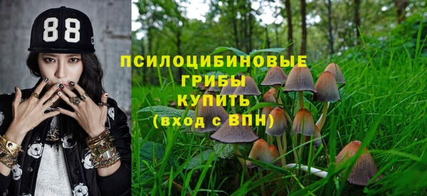 стафф Мегион