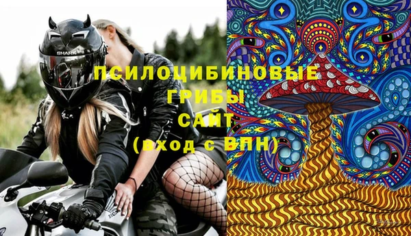 стафф Мегион